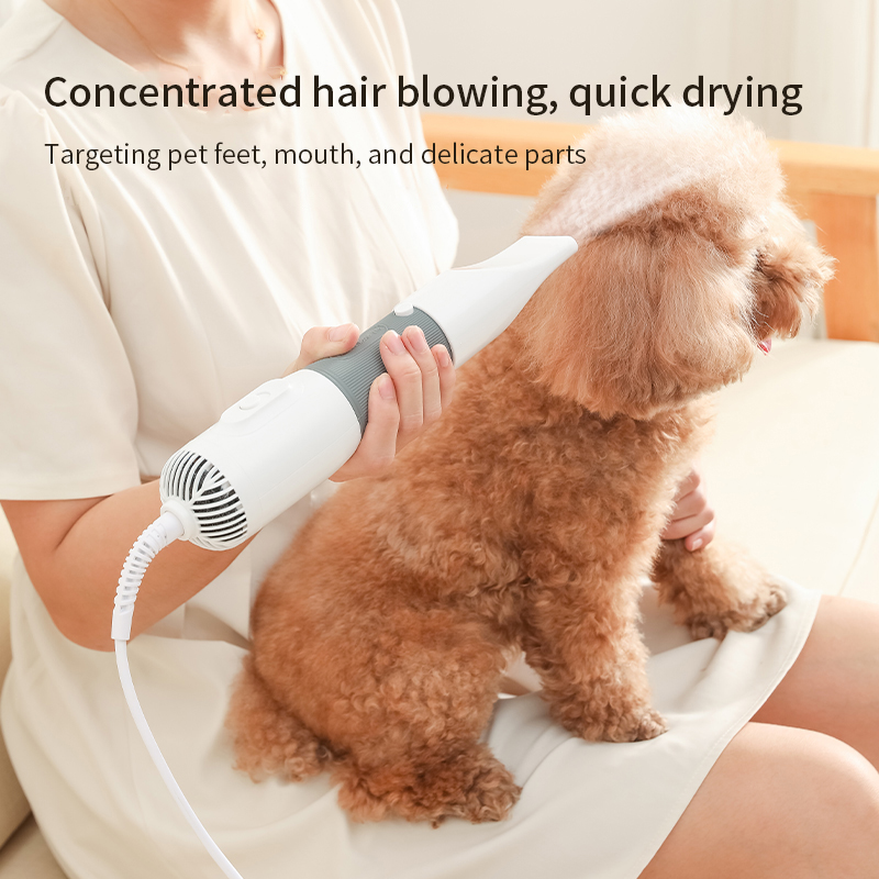 3 in1 Pet Dog Dryer Quiet Dog  – Hot Dog Press Bewertung und Preis