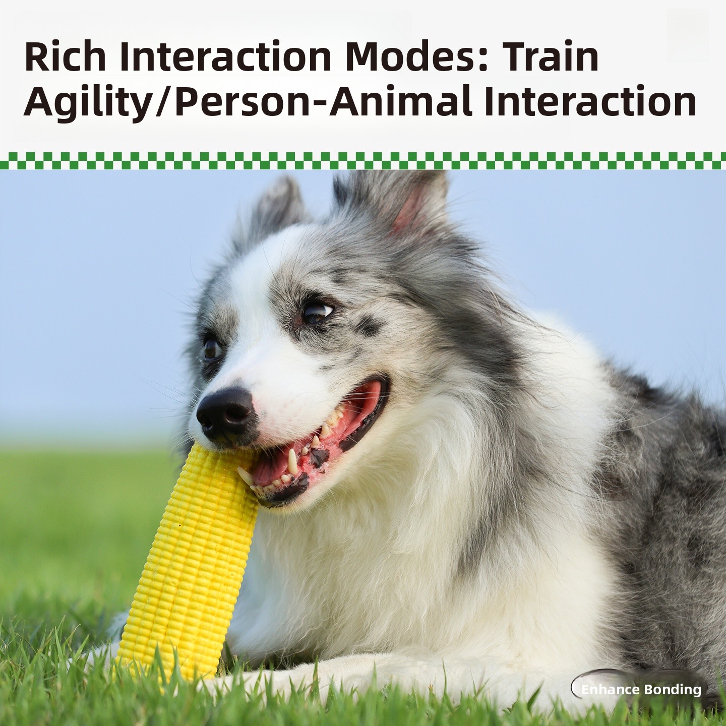 QZee Durable ETPU Corn Dog Toy – Corn Dog Stick Bewertung und Preis