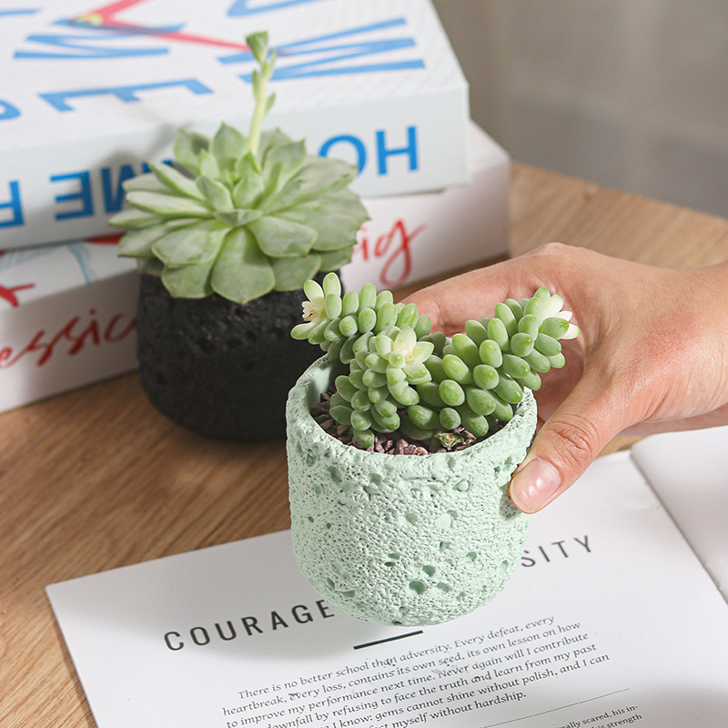 Creative Round Concrete Flower – Potsticker Mold Bewertung und Preis