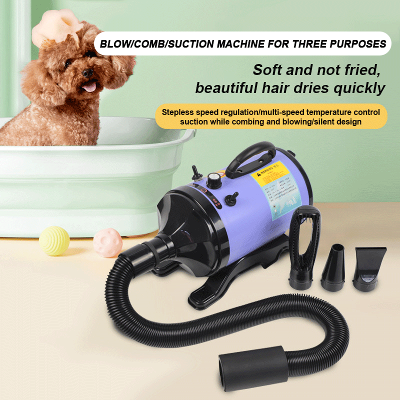 2800W High-power Dogs Hair Dry – Hot Dog Press Bewertung und Preis