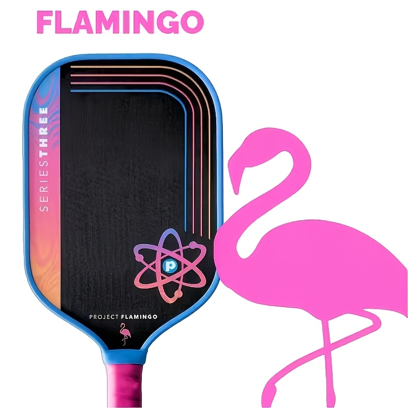 PROJECT PEACOCK Pickleball Pad – Crepe Pan Carbon Bewertung und Preis