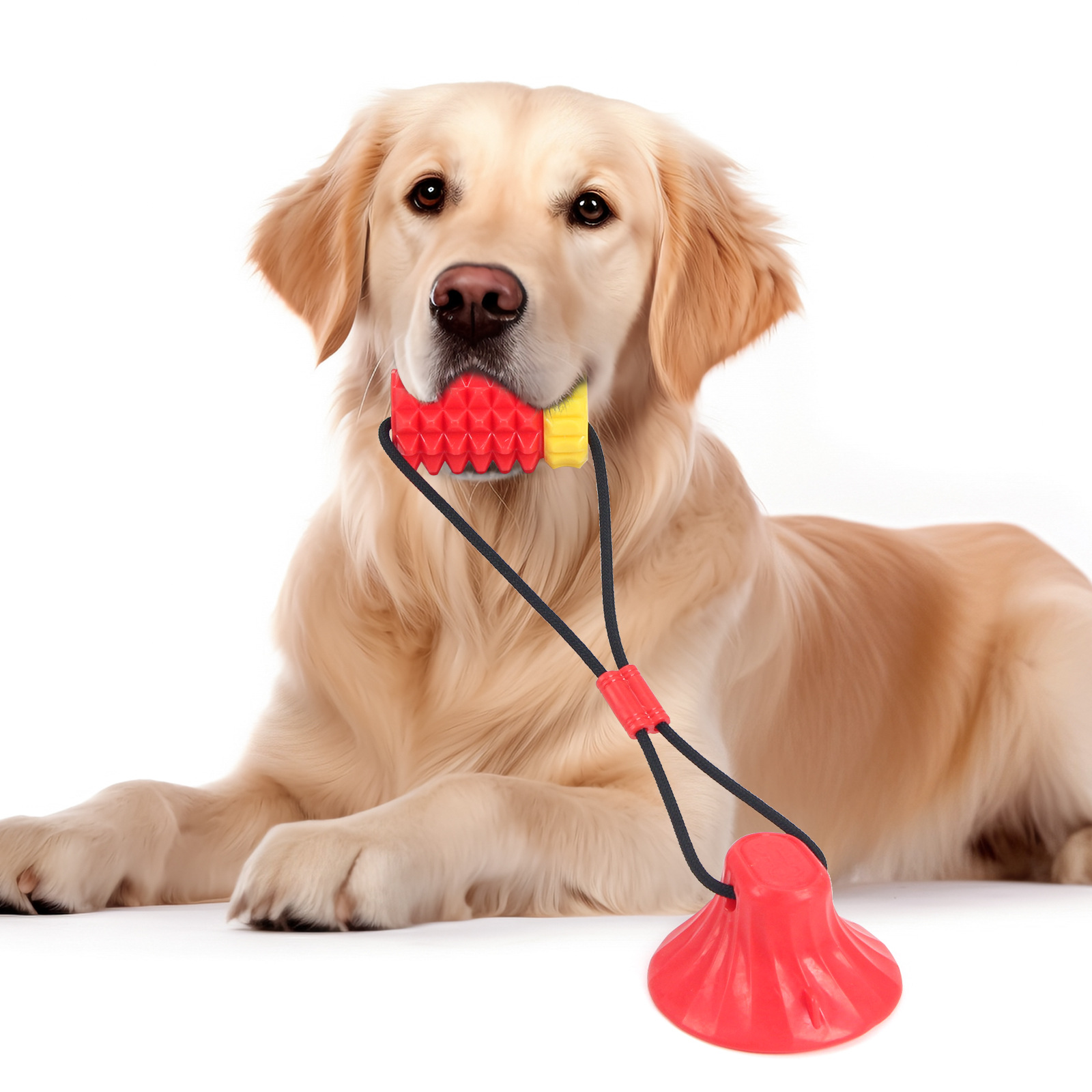 Simulated Corn Cob TPR Dog Toy – Corn Dog Stick Bewertung und Preis